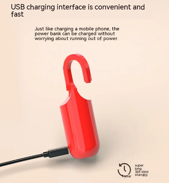 USB Charging Fingerprint Lock For Bags
